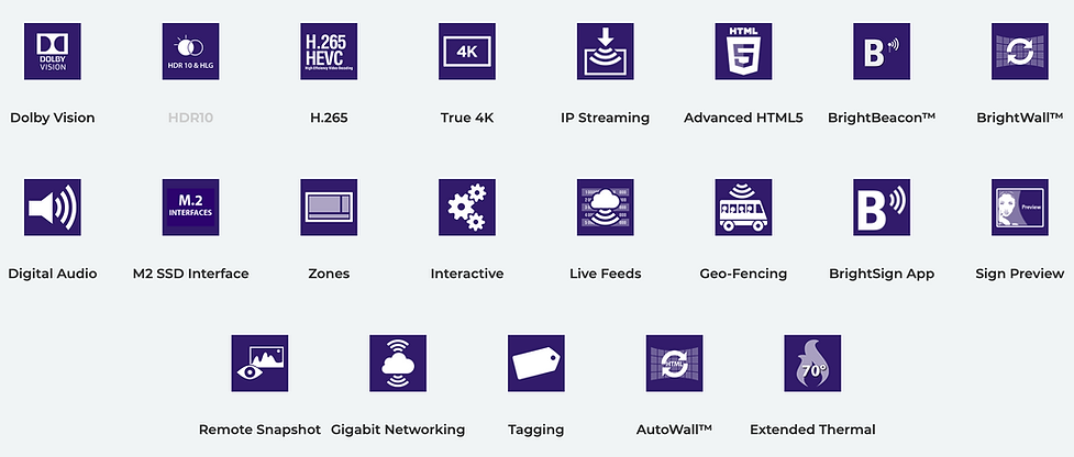 BrightSign XD234 Features