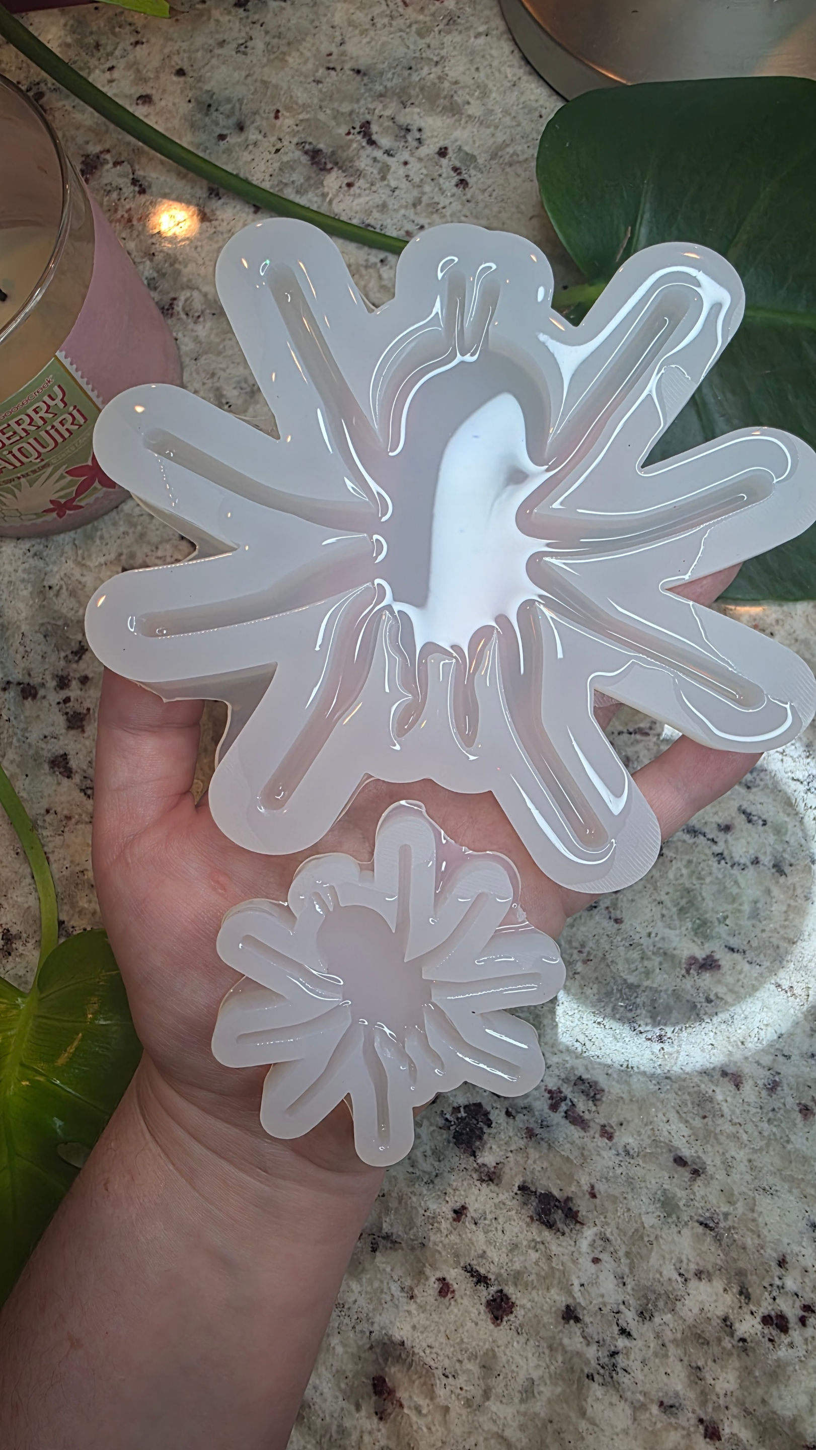 Tarantula Mold