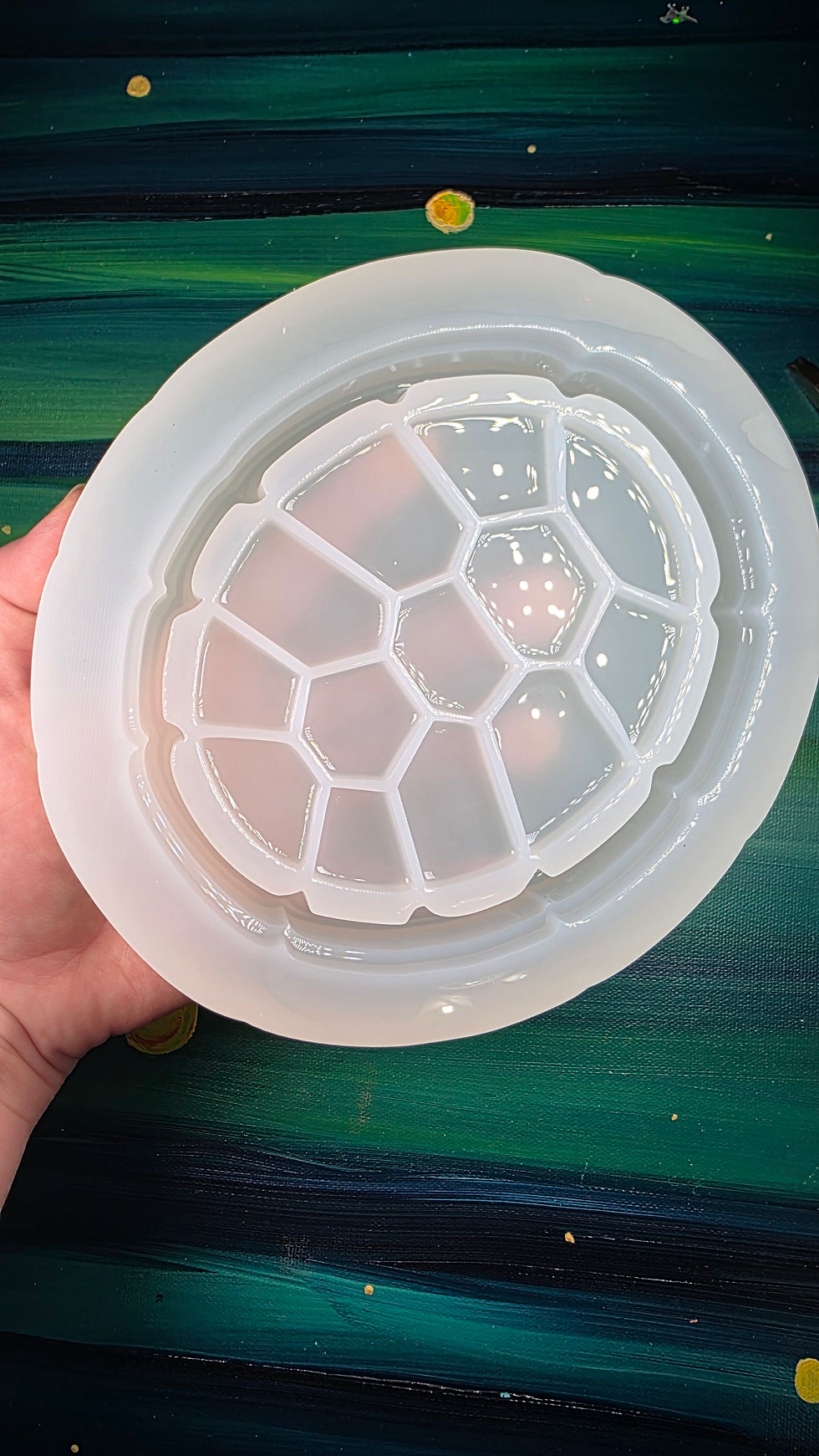 Thumbnail: Turtle Shell Tray 3D Domed Deep Glossy Jewelry Tray Shell