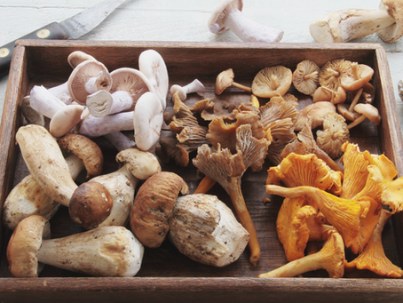 Health Benefits of Mushrooms: Live a Longer and Healthier Life