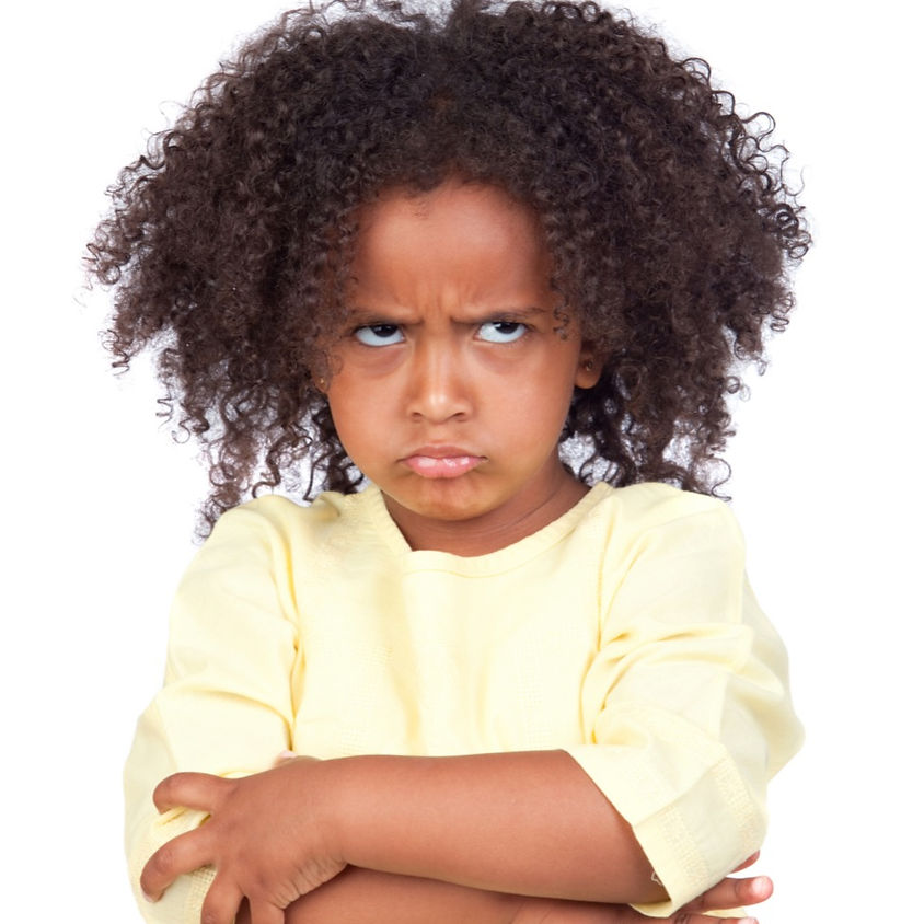 Working with Feisty and Tenacious Temperament Traits