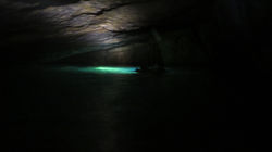 IMG_2750_1