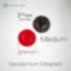 Image of a medium pair of biomagnetism magnets measuring 2.5 inches in diameter.