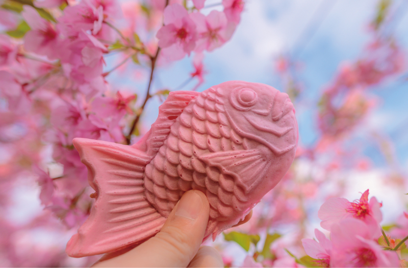 河津櫻花祭必吃的粉紅櫻花鯛魚燒