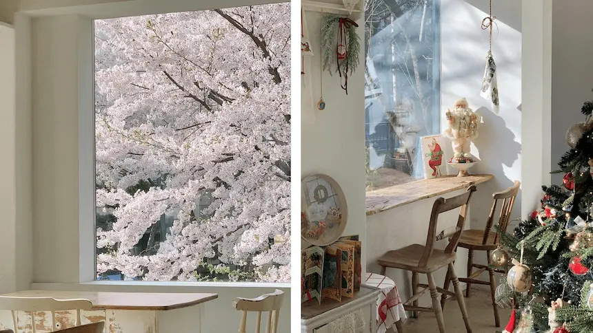 韓國咖啡廳 dear moment 店內的櫻花景色
