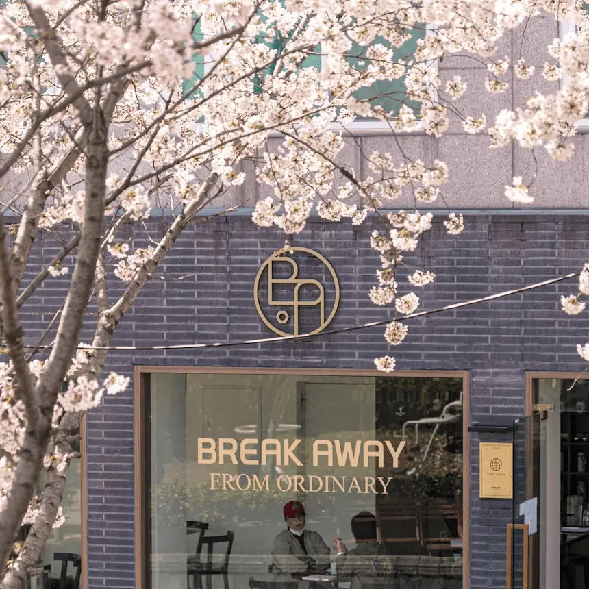 韓國首爾咖啡廳 B.A. Cycle Stop 店外的櫻花景色