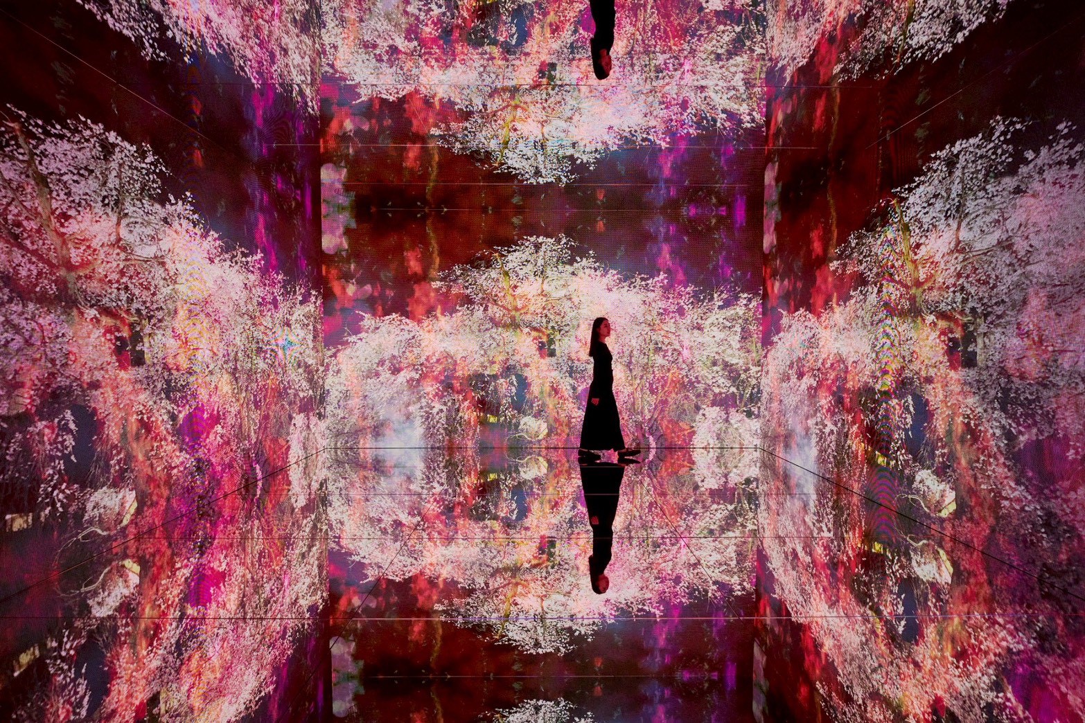 蜷川實花展覽中的作品《深淵彼岸的夢》以盛開的繁花與 720 度全景影像空間組成。
