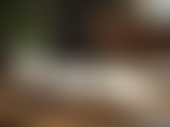 Célébrer la Journée internationale des droits des femmes avec Mange, lis, aime : L’inventaire des rêves de Chimamanda Ngozi Adichie 