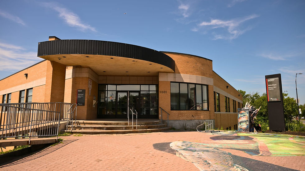 Le livre d'Emma de Marie-Célie Agnant 