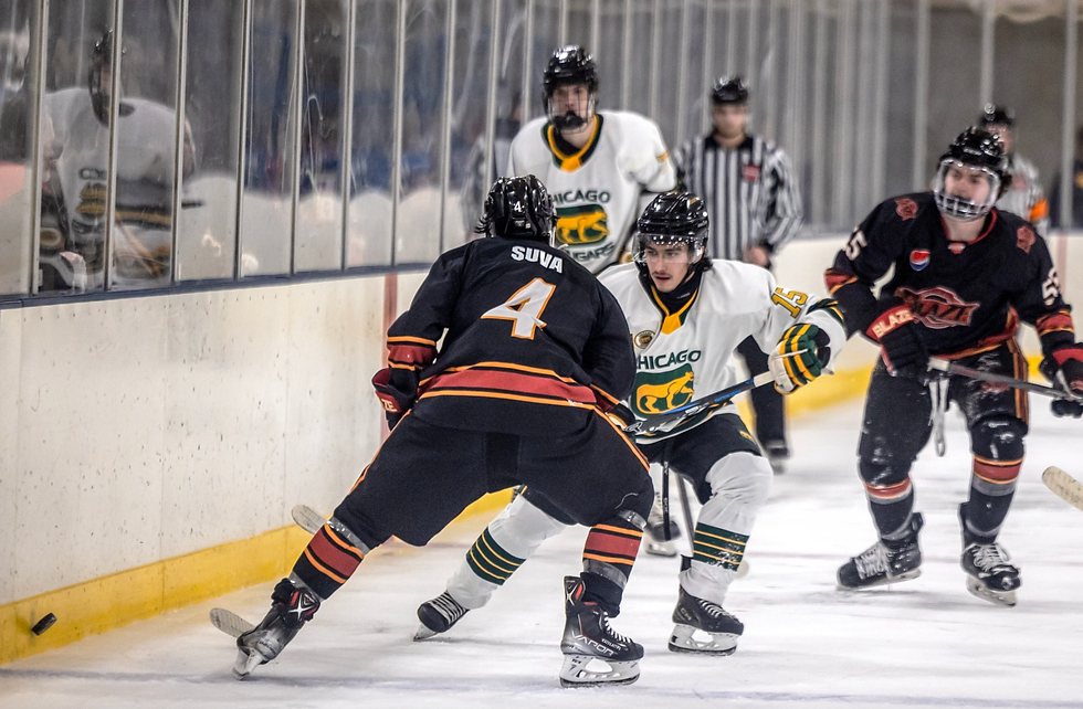 Chicago Cougars #15 Damien Calzada banks the puck around the Decatur defense | Photo by Beverly Buchinger