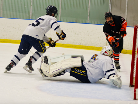Chicago Cougars Aidan Wysoglad (No. 35) makes a valiant effort to cover the net | Photo provided by Fort Wayne Spacemen