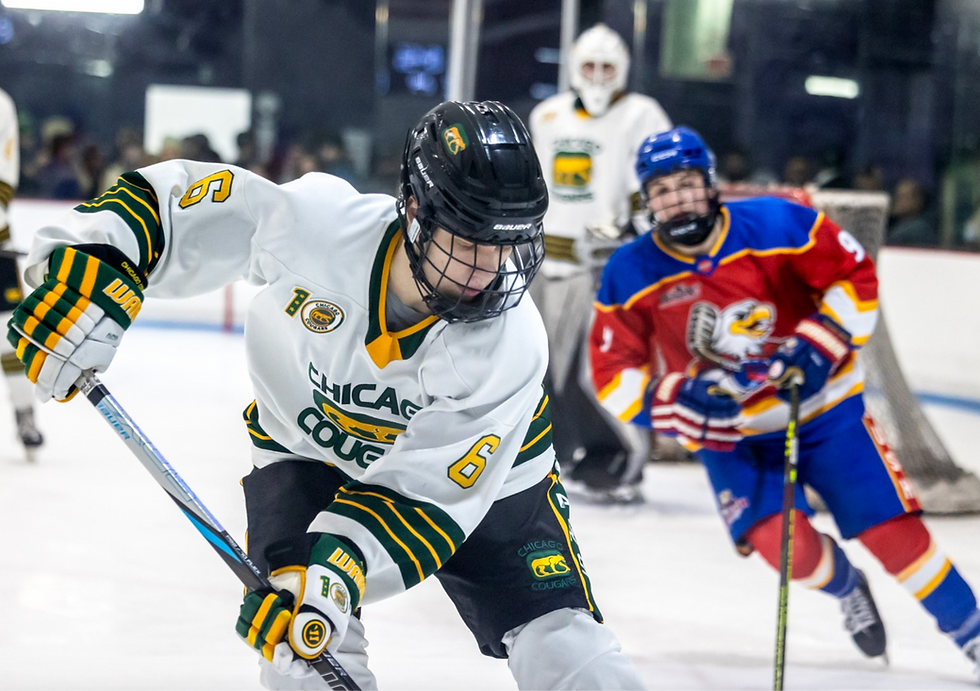 Chicago Cougars Forward #6 Marko Cejka controls the puck | Photo by Beverly Buchinger