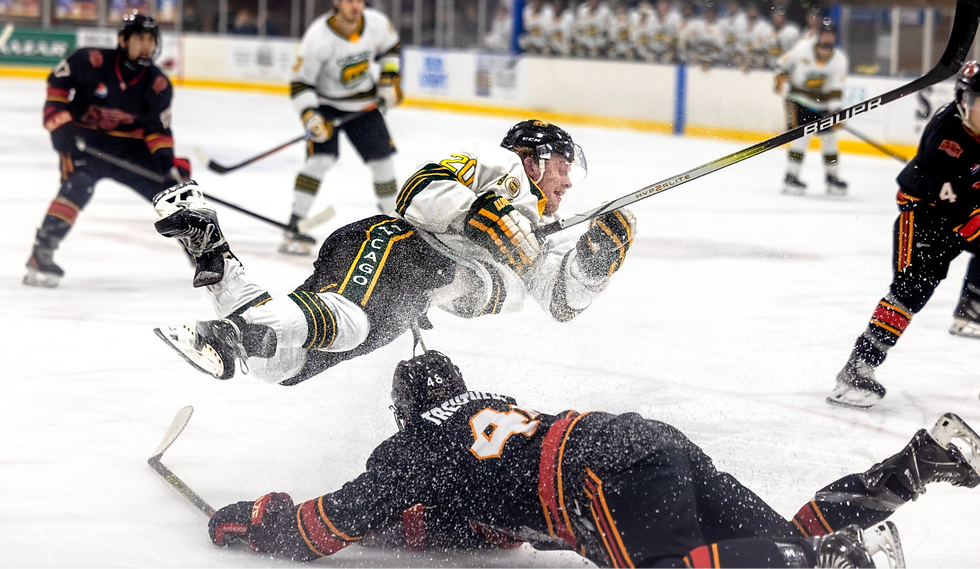 Chicago Cougars Forward #20 Brett Tumbrink takes flight | Photo by Beverly Buchinger