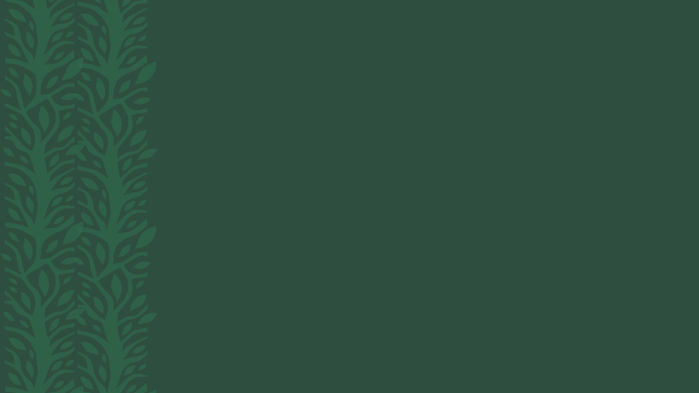 Design sem nome (20).png