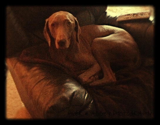 All worn out