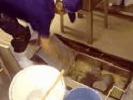 hai_setu0009.gif