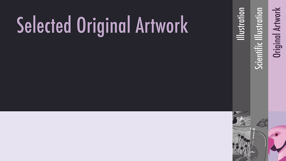 Portfolio GB_Illustrator4aftrev-19.jpg