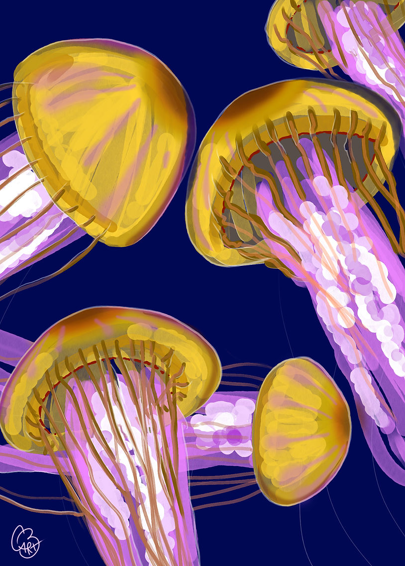 art447_13_signed.jpg