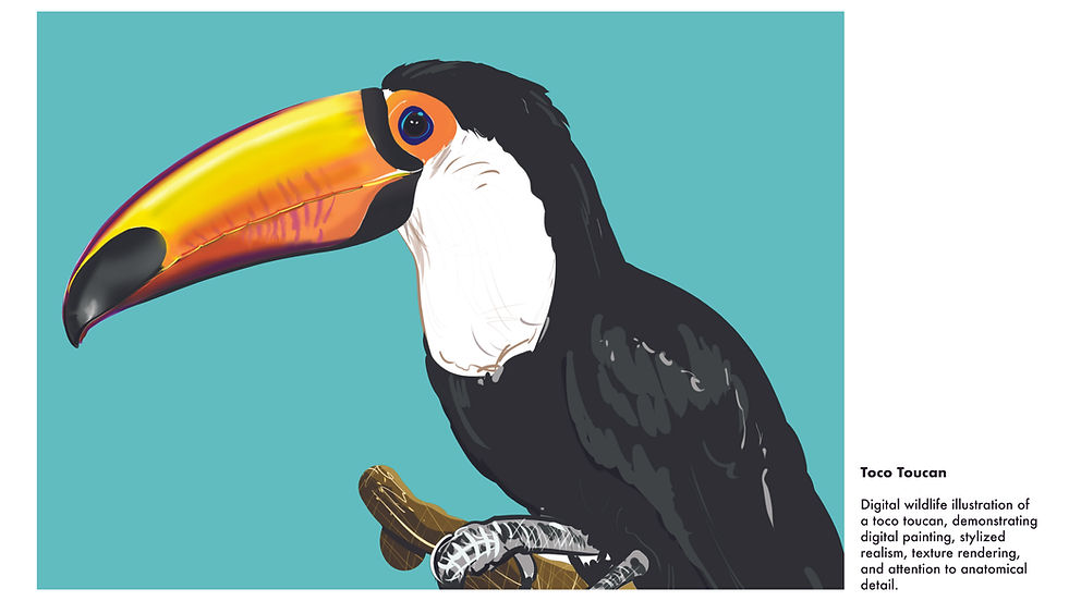 Portfolio GB_Illustrator4aftrev-13.jpg