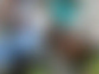 Tennessee Titans vs Miami Dolphins (5:15pm)