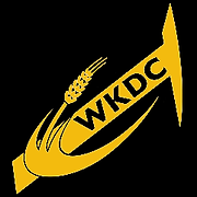 Wkdc Llc logo
