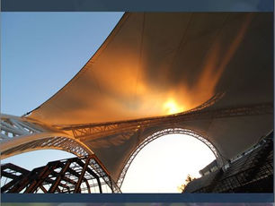 AVLI Stakeholders' Report