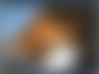 AVLI Stakeholders' Report