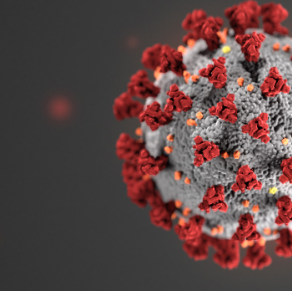 The Virus that Broke the Country's Back