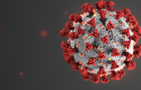 The Virus that Broke the Country's Back