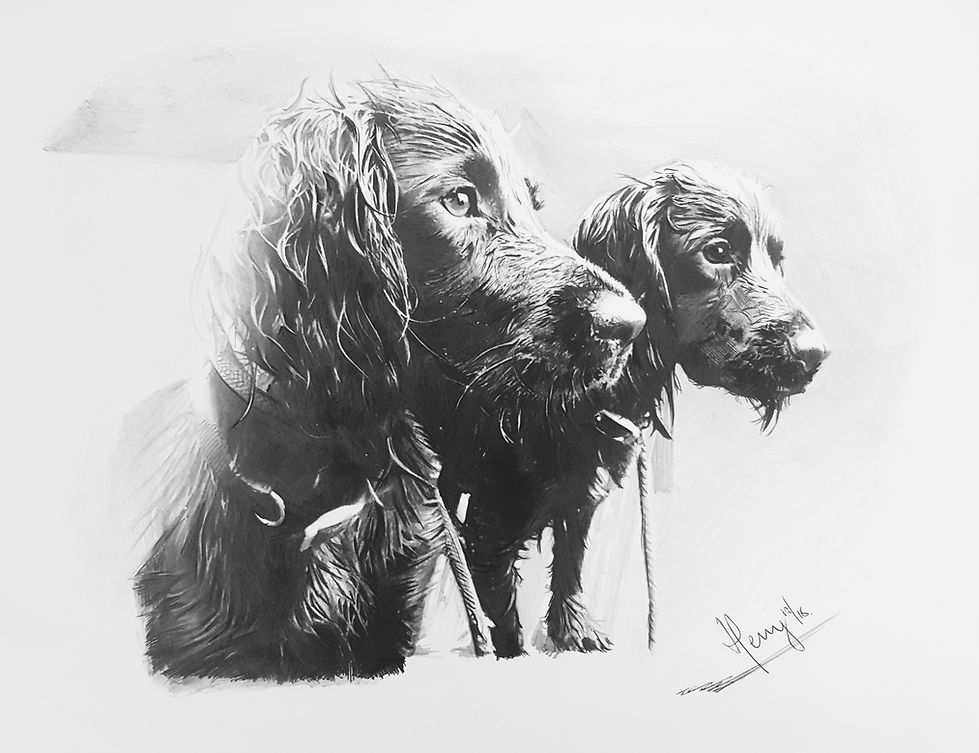 Dogs Commission_edited.jpg