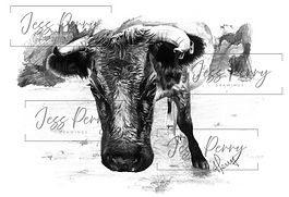 Untitled design (6).png