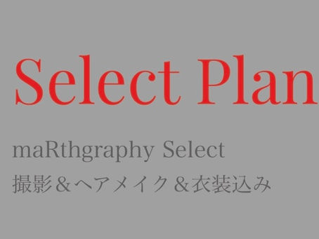 新プラン