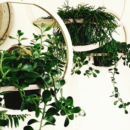Hanging plywood planter