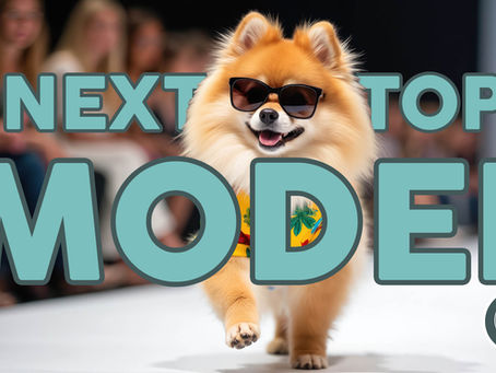 THE NEXT TOP (LEARNING) MODEL: MICROLEARNING
