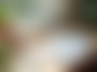 Unlocking Your Wealth Potential: Embrace Abundance and Transform Your Mindset for Prosperity