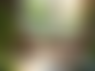 Why Your Budget Fails: Self-Image and Money: How Identity Shapes Financial Habits