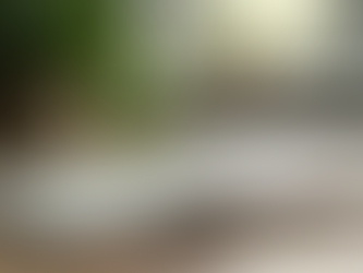 Healing Financial Wounds for Future Prosperity Through Forgiveness and Growth