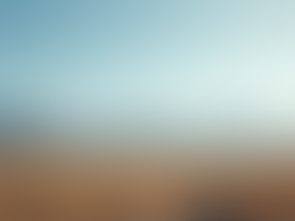 The Psychology of Fear: Why It’s Your Biggest Identity Anchor