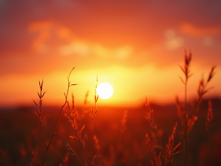 Cultivating a Gratitude Wealth Mindset for Positive Investment