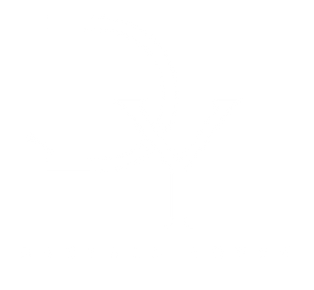IMG_3941.PNG
