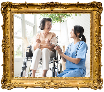 Yellow and Cream Photographic Interiors Retail Website (7)_edited.png