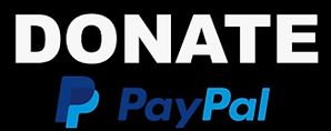 donate paypal business.png