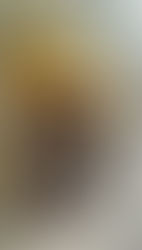 Shirley - Pós-praia com Frutos do Mar