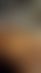 Ferro e Farinha - No meio de vários botequins, um achado!