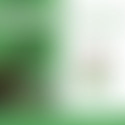 Suikeraanbod voor Groothandels ,kristal suiker standaard 25kg