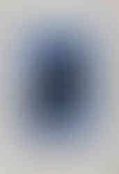 5.　銀狐　￥1,650　印刷品