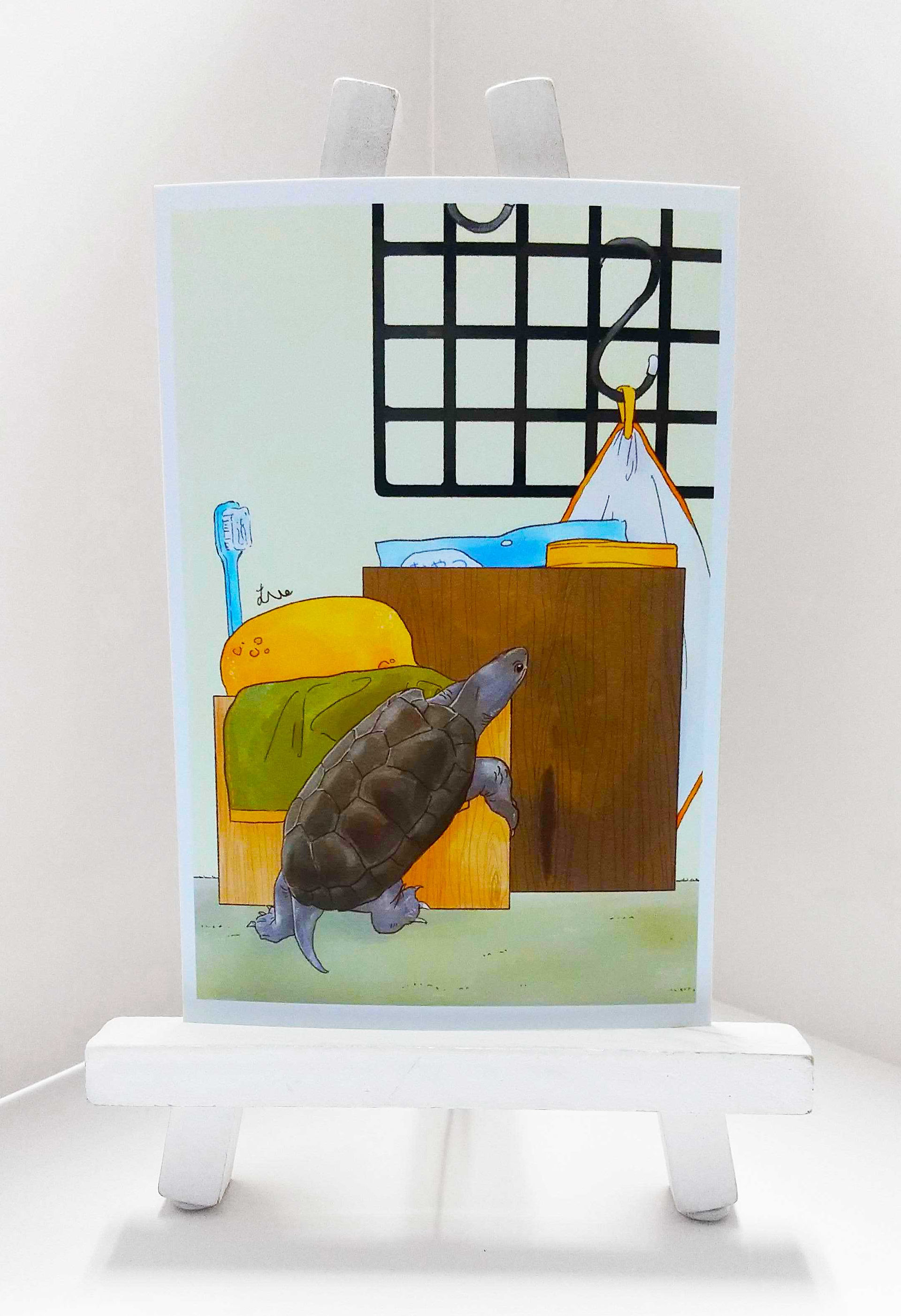 3. クサガメ
