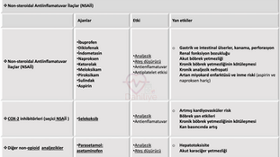 Non-steroidal antiinflamatuvar ilaçlar NSAİİ 