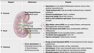 AKUT BÖBREK HASARI (ABH)