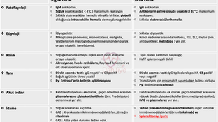 Otoimmün hemolitik anemi